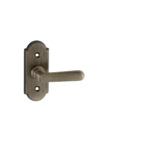 Ni - alt Wien Rosette - Half Olive Small 2