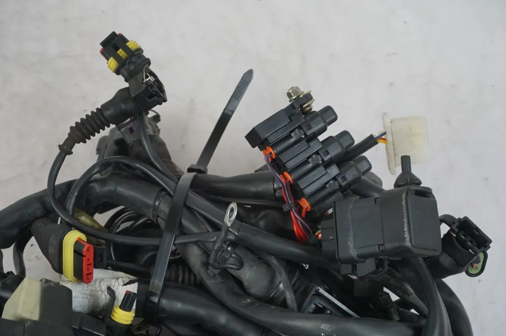 Kabelový svazek Ducati