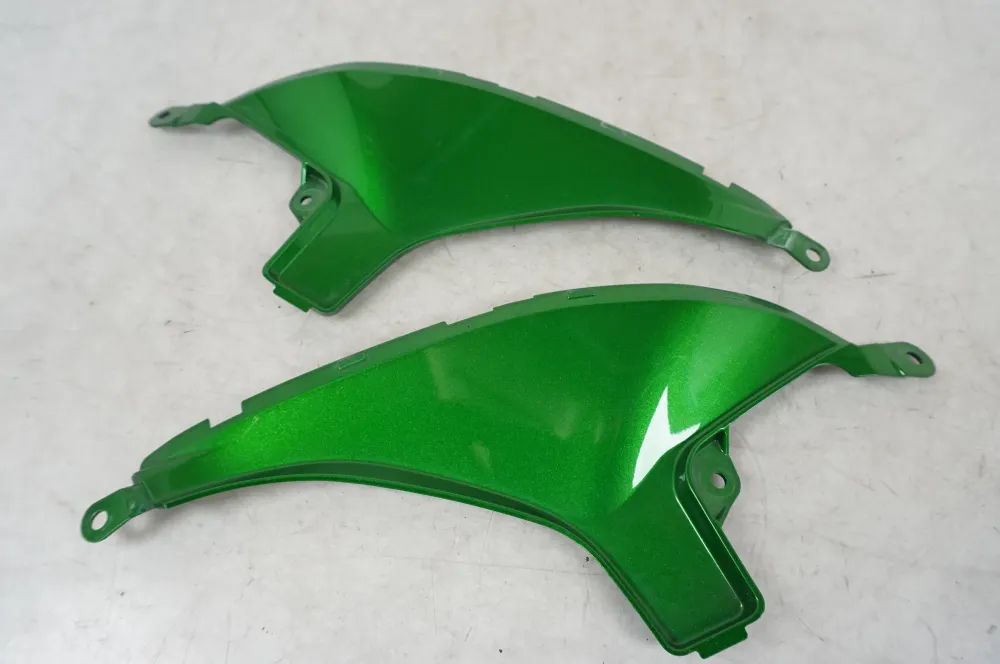 Dekor zadního blatníku Kawasaki