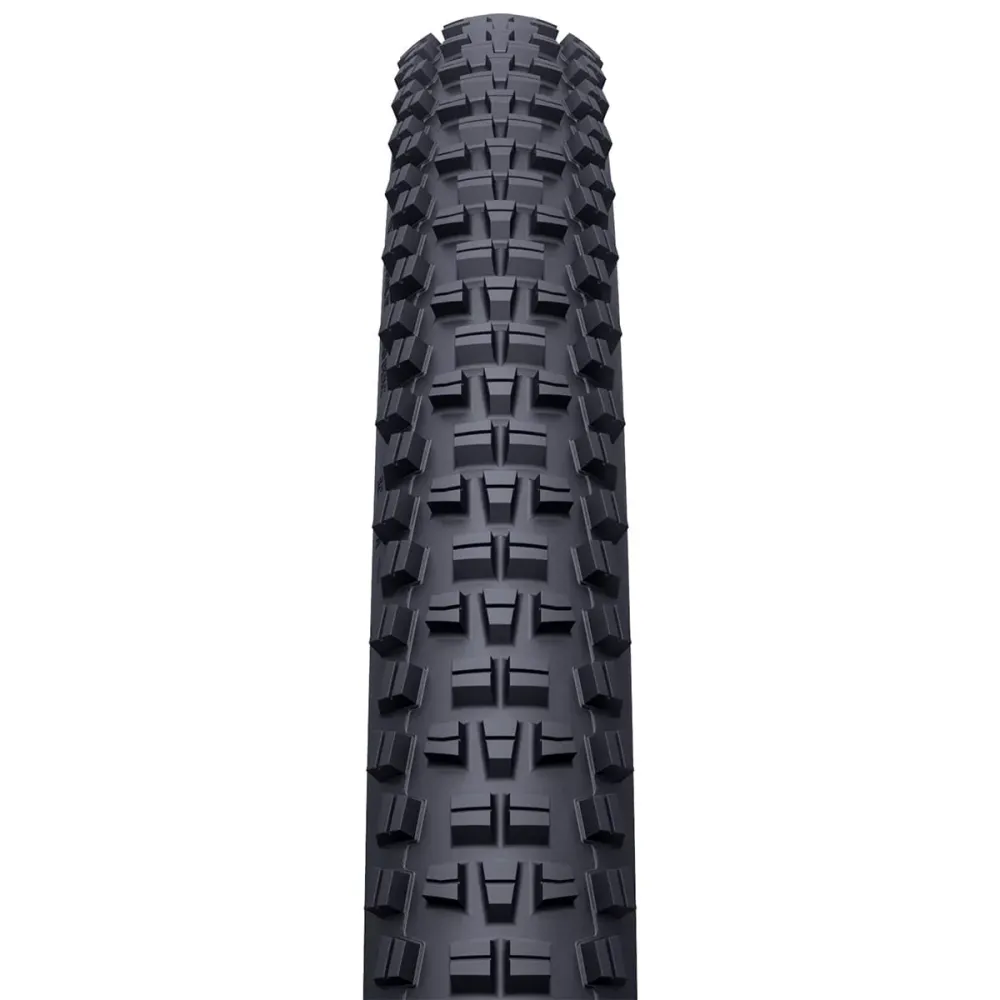 Pneumatika WTB TRAIL BOSS 29x2.25 TCS Light Tubeless Ready Souple W010-0886