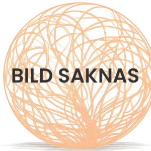 Vidlice spojky Triumph