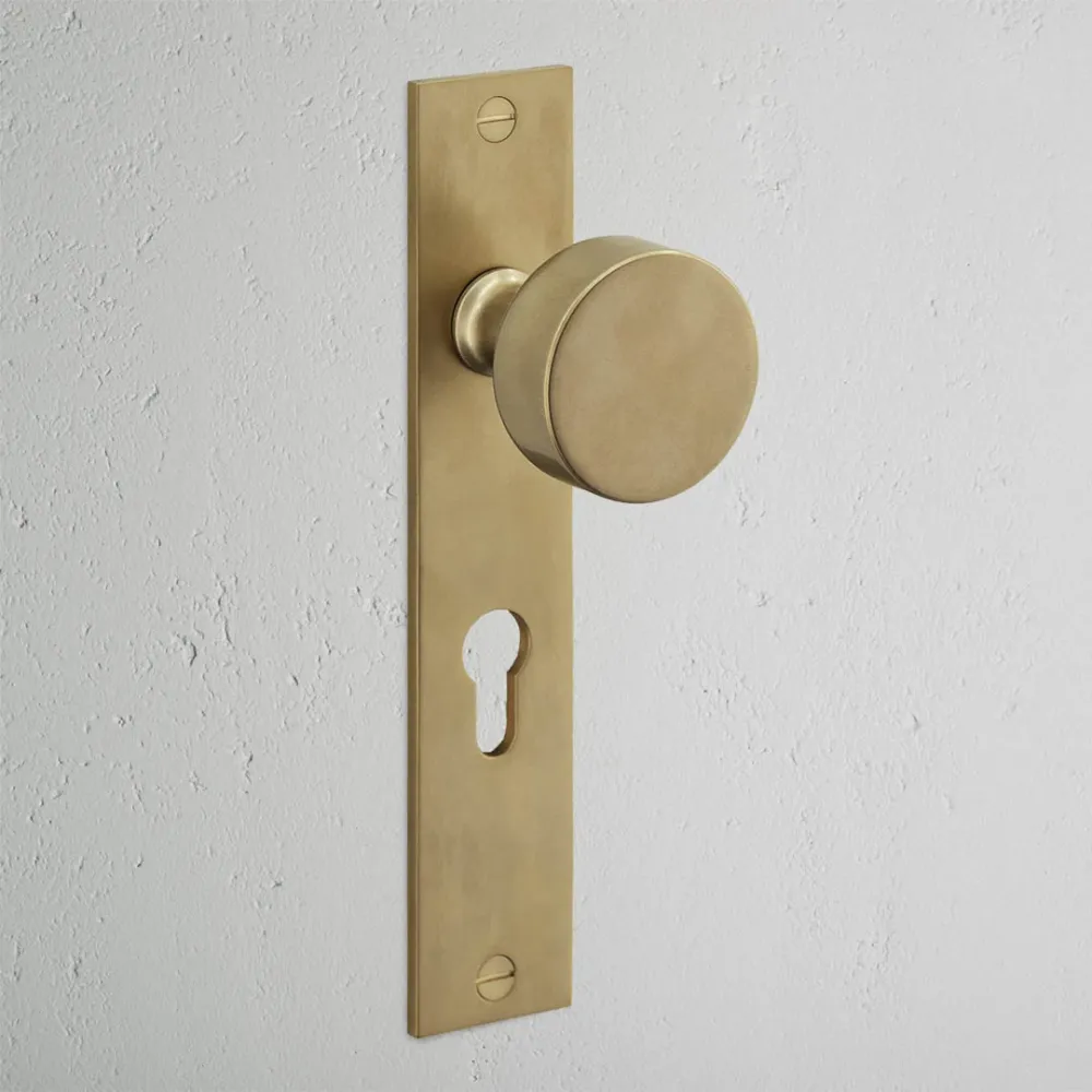 Onslow Long Plate Sprung Door Knob & Euro Lock – Antique Brass
