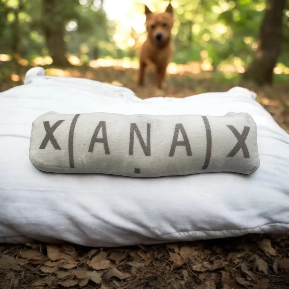 Psí hračka – tvar tablet - Xanax, 20 cm x 5 cm s pískacím prvkem
