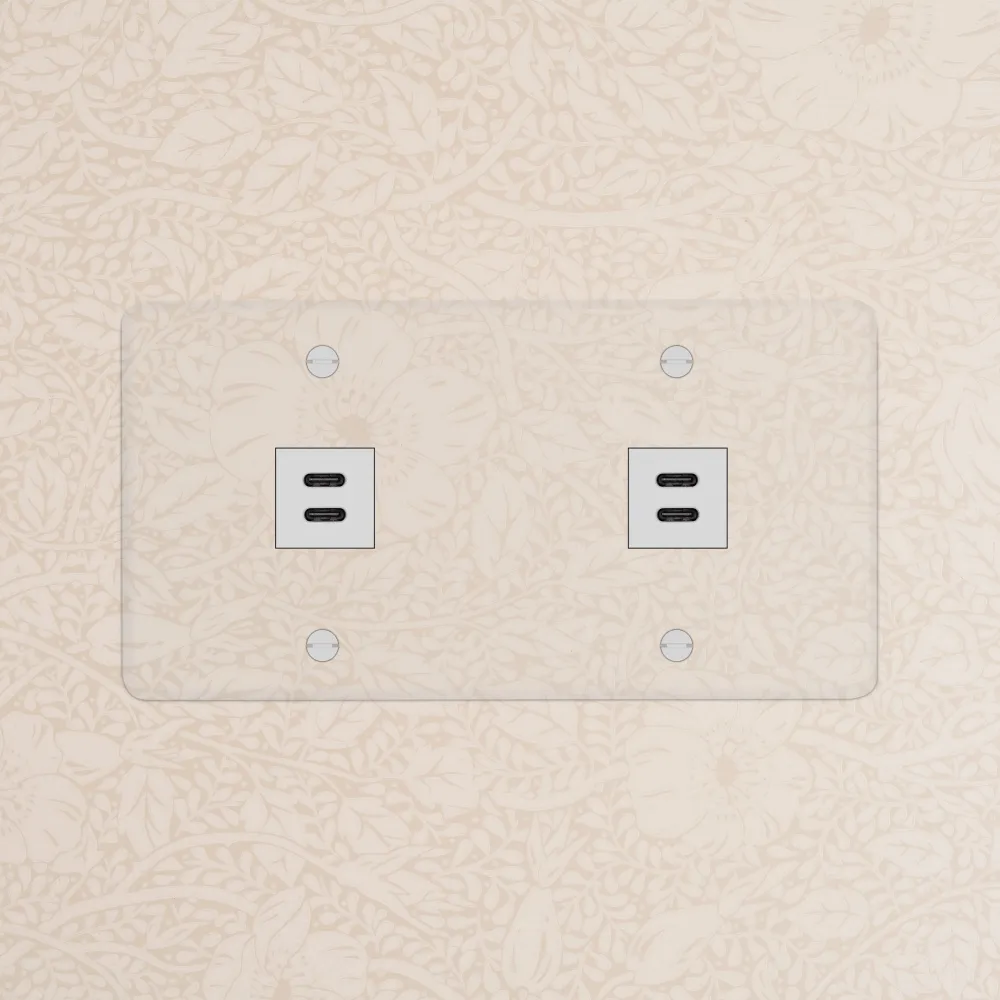 Kew Dvojitá zásuvka 2x USB-C 30 W - Průhledná | Bílá Regular