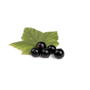 Ztužovač šlehačky, Černý rybíz 200g